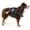 Black, variant on PetAmi Dog Backpack for Medium & Large Dogs, Saddle Bag for Dogs to Wear for Hiking, Pet Backpack Harness Dog Pack with Reflective Side Pockets for Walking Running