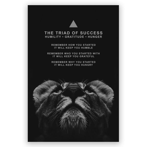 The Triad of Success Poster Inspirational Phrases Wall Art Prints Motivational Sayings Quote Poster Positive Print Decoration for Teens Adults Living Room Office Decor