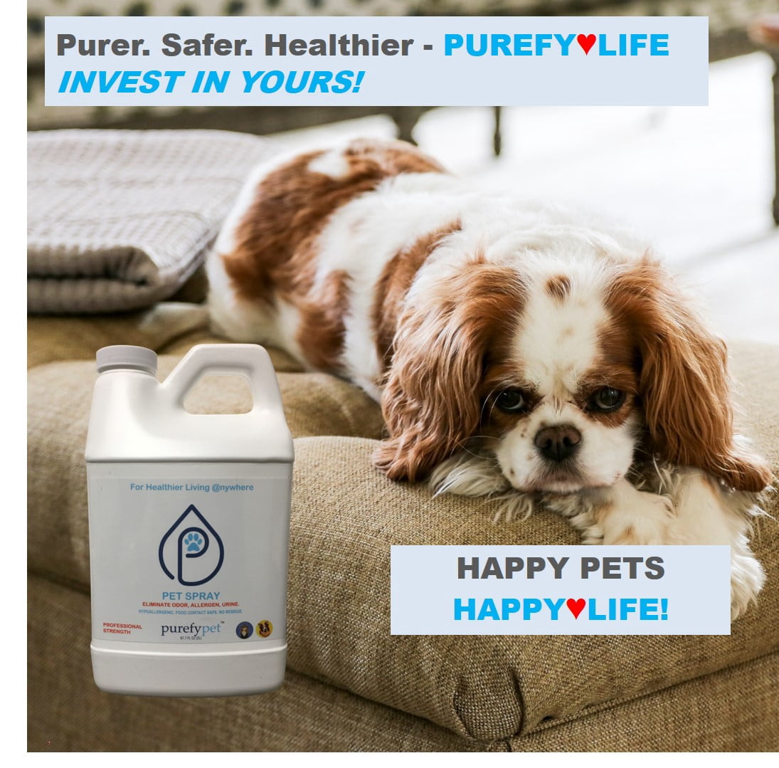 PUREFY Pet Spray (68oz Refill) Eliminate Pet Inanimate Allergens and Pet Urine from the Environment. Precent Marking. Pet Odor Eliminator. Unscented. No residue. Pet Friendly. Ready to Use.
