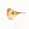 thumbnail image 3 of Novak, Shirley 15x15 Black Modern Framed Museum Art Print Titled - Watercolor Birds III, 3 of 5