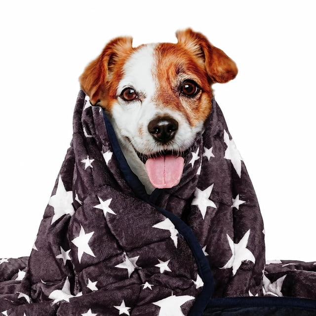 Manta pesada LaSyl Thunder para perros con ansiedad, 6 libras