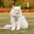 thumbnail image 4 of Escape Proof Dog Harness No Pull, Adjustable Soft Padded Vest with Leash for Small Medium Dogs Cats, Breathable Mesh & Cute Flower Design, 4 of 6