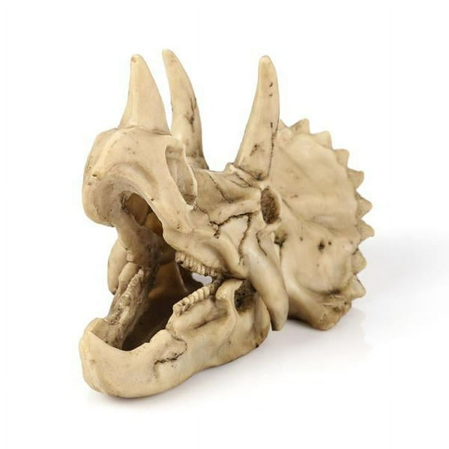 Triceratops Cráneo Resina Modelo Coleccionables Pub Bar Artesanía Decorativa