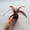 A, variant on Cat Toy Ball with Natural Feather,Cat Toys for Indoor Cats,Build-in Bell Cat Sound Ball Toy Interactive Cat Chew Toys for Cat Kitten