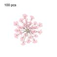 thumbnail image 2 of CNKOO 100Pcs Pressed Dried Ammi Majus Flower Epoxy Resin Nail Craft DIY Phone Decor, 2 of 8