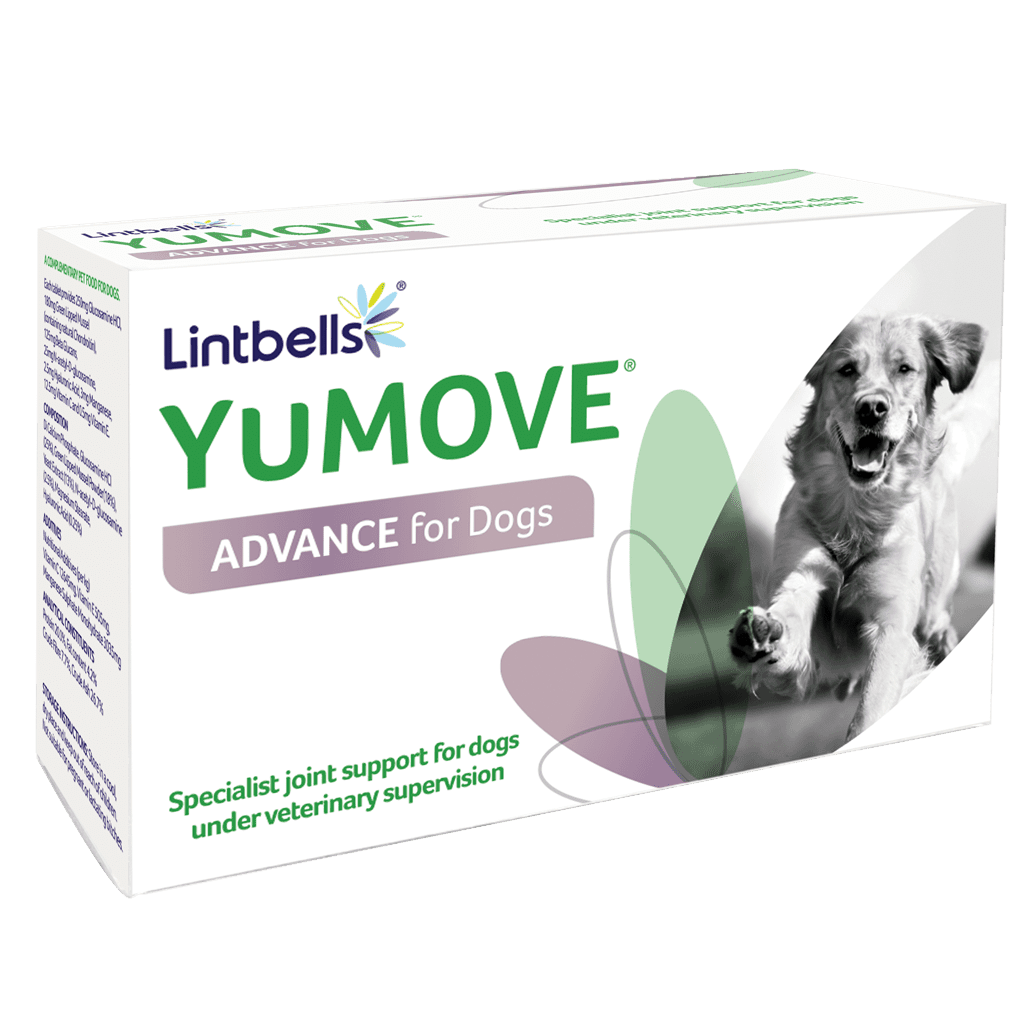 Lintbells YuMOVE Advance for Dogs 