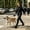 Black, variant on Dog Leash for Large Medium Small Dog 9.84Ft Retractable Walking Leash with Anti-Slip Handle Heavy Duty Dog Tape for Outdoor Walking Hiking Training 360° Swivel One-Hand Lock