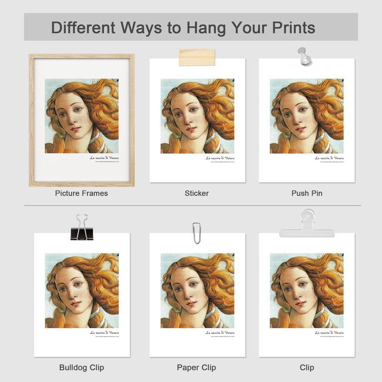 PixonSign Vintage Chic Adhesive Wall Art Birth of Venus Typography