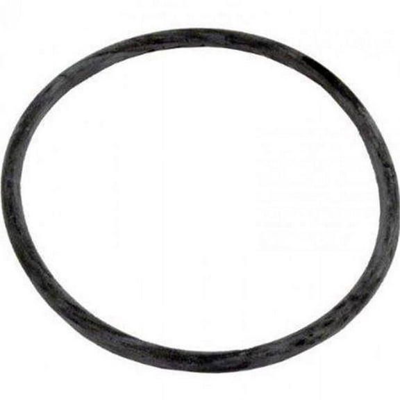 35505-1437 Pentair Trap Lid O-Ring