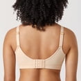 thumbnail image 5 of Sostén AISILIN sin Varillas Talla Grande Beige 42C, 5 of 5