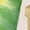 Green, variant on Women's Yoga Pants Tie Dye Printed Fashion Casual Slim Yoga Leggings Fall Winter
