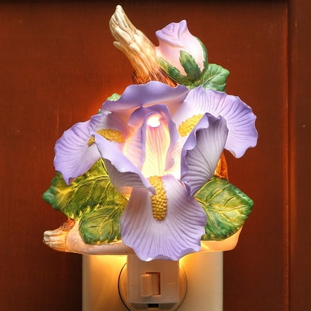 

Cosmos Gifts Iris Night Light