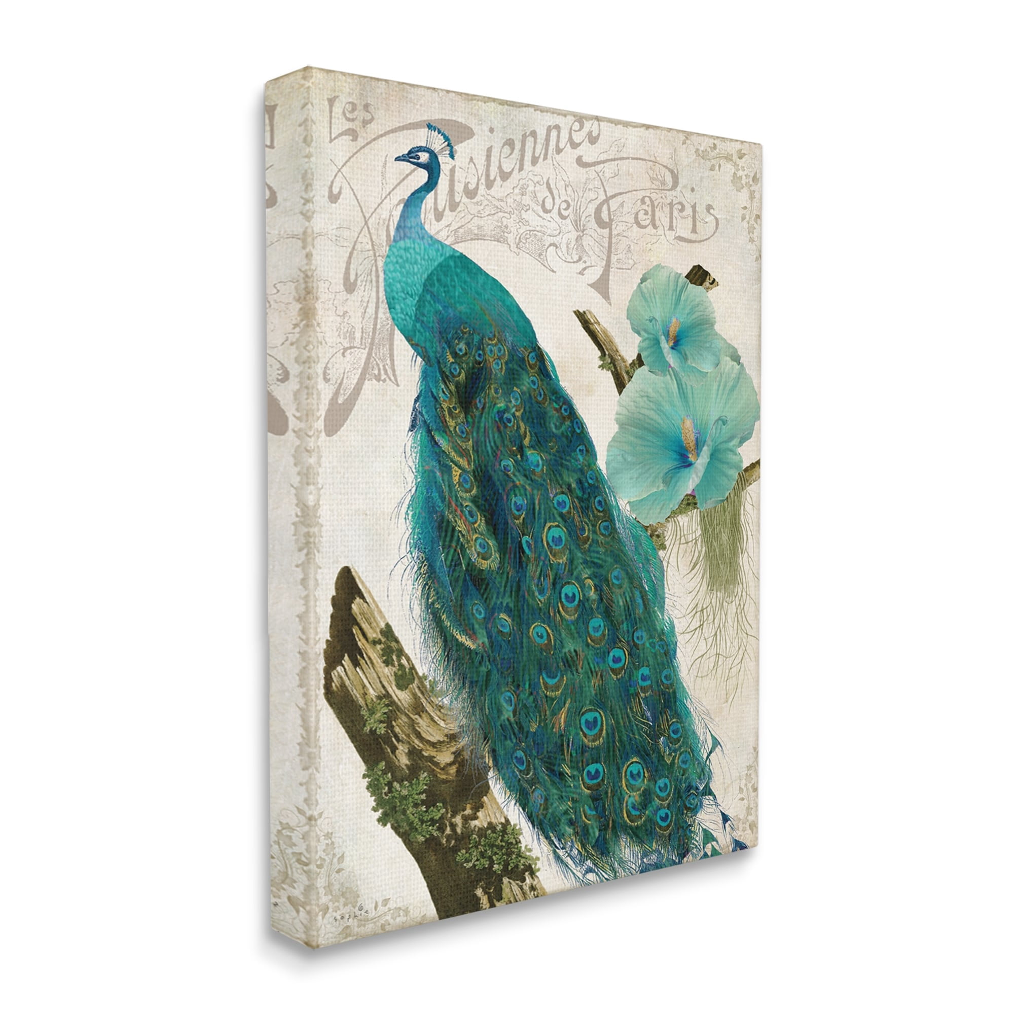 Stupell Industries Vintage Parisian Peacock Patterned Bird Blue Hibiscus Flower, 16 x 20, Design by Sophie 6