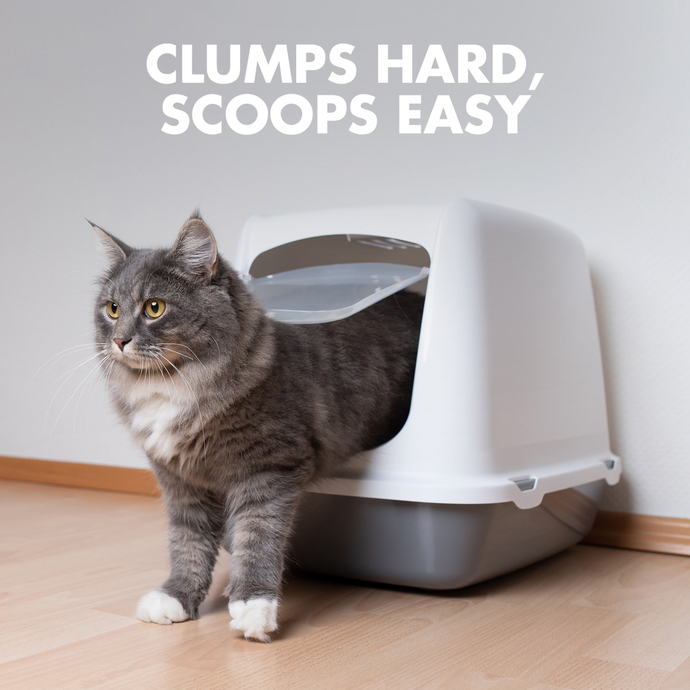 Arm and hammer corn litter deals