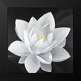 thumbnail image 2 of Atelier B Art Studio 12x12 Black Modern Framed Museum Art Print Titled - Overhead View of a Lotus Flower, 2 of 5