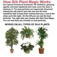 thumbnail image 3 of SCREEN MAGIC Silk Plant Magic Cleaner 1 Gallon Refill, 3 of 6
