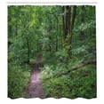 thumbnail image 2 of Ambesonne Woodland Shower Curtain, Path in New Jersey Forest, 69"Wx75"L, Dark Cocoa and Hunter Green, 2 of 4