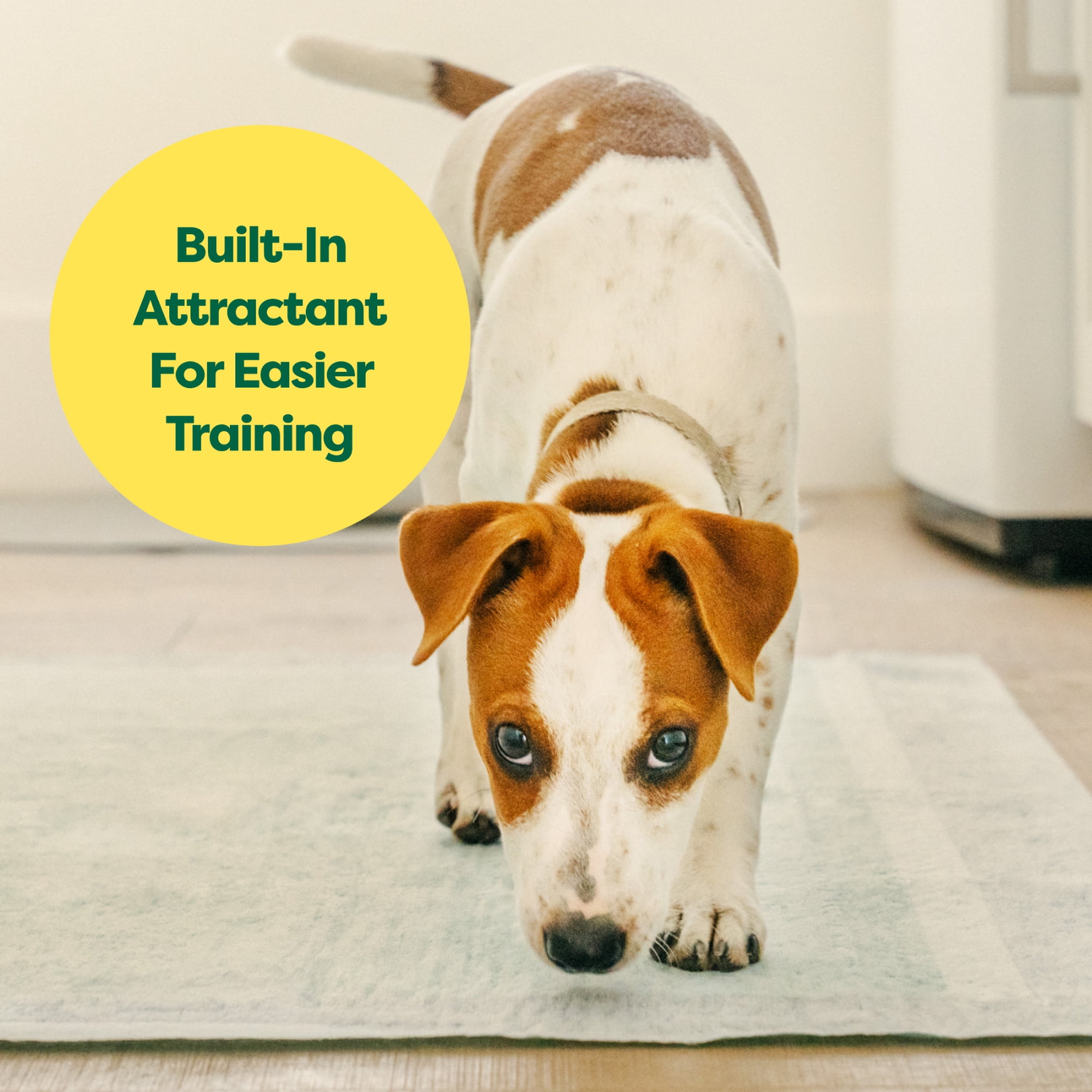 Earth Rated Leak-proof Pee Pads for Dogs and Puppies, 2X Faster Absorption*, Unscented, L, 22x22 in.,10ct