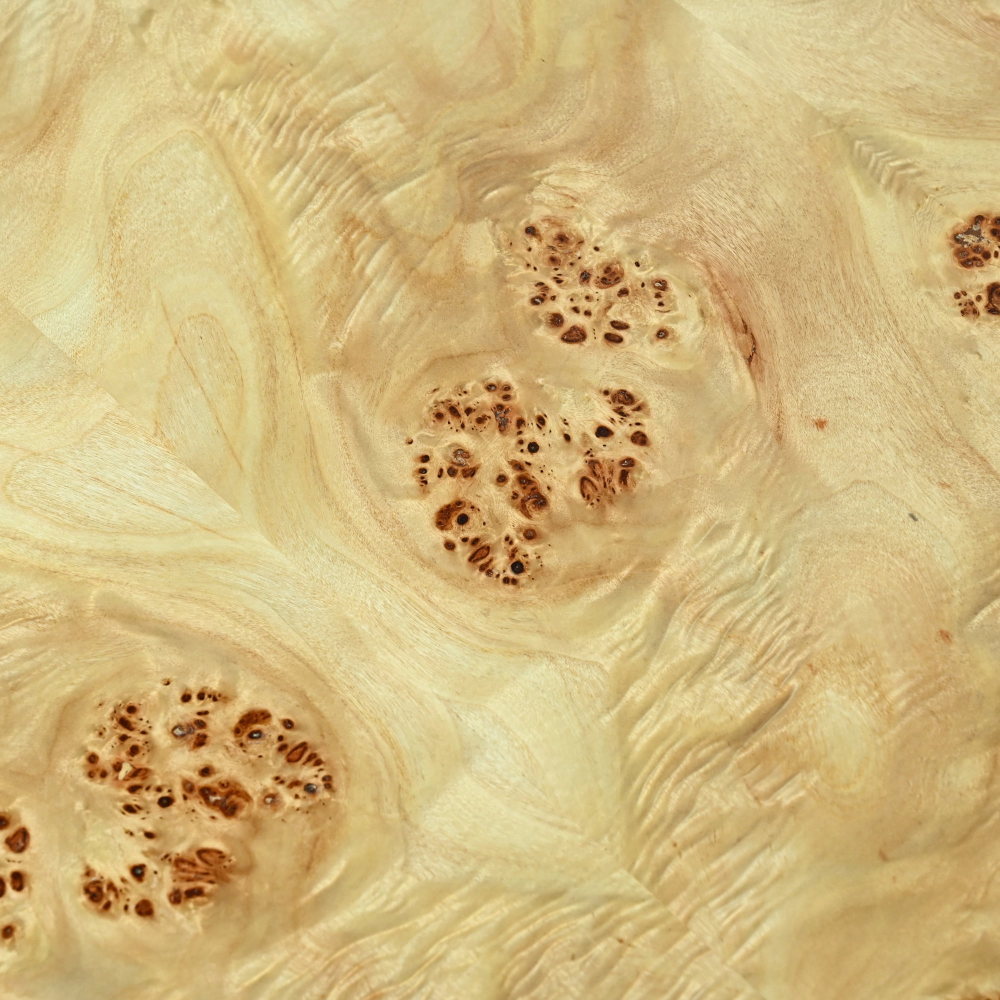 Ox Bay Theresa Round Burl Wood Coffee Table with Gold Base, Glam Style, Indoor Use