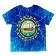 thumbnail image 2 of New Hampshire Vintage Distressed State Flag All Over Toddler T Shirt Multi 4T, 2 of 2