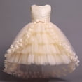 thumbnail image 1 of Vestidos infantiles para niñas, vestido de fiesta de flores de encaje, fiesta de bodas de cumpleaños, banquete de princesa, vestido sin mangas de verano para niños, 9-10T (etiqueta 150) Gao Jinjia LED, 1 of 2