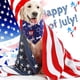 thumbnail image 3 of Paquete de 2 pañuelos para perros del 4 de julio, suministros para fiestas de perros del Día de la Independencia, bufanda triangular para mascotas, pañuelo para la cabeza para mascotas MFZFUKR BST3084052-3, 3 of 5