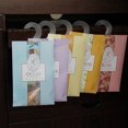 thumbnail image 3 of JUNTEX Mini Natural Perfume Air Freshener Vanilla Sachets Paper Fragrance Bag Scented, 3 of 8
