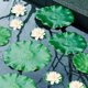 thumbnail image 3 of Lirios de Agua Artificiales ZHAOCHENG para Acuario, 3 of 5