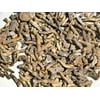 Educational Bulk Fossil Coral - 25 pieces