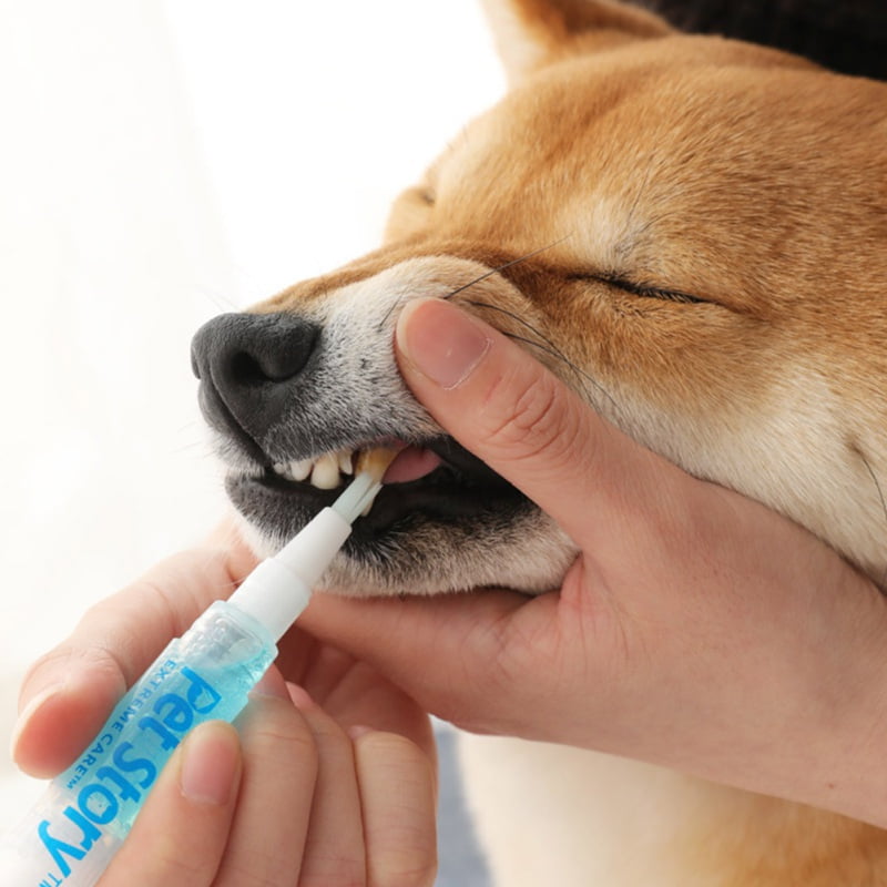 dog toothbrush target