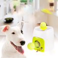 thumbnail image 3 of CHOK Jouet Interactif pour Chien Machine de Lancer pour Chien Lancement Automatique de Balle Utilisation Facile Cadeau, 3 of 14
