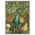 thumbnail image 3 of Hoytema, Theo van 19x24 Black Modern Framed Museum Art Print Titled - Peacock with chickens, 3 of 5