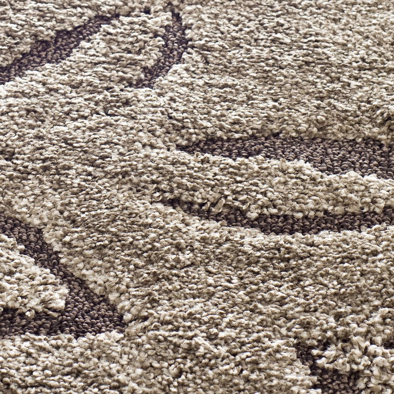 Safavieh Florida Benton Floral Shag Area Rug