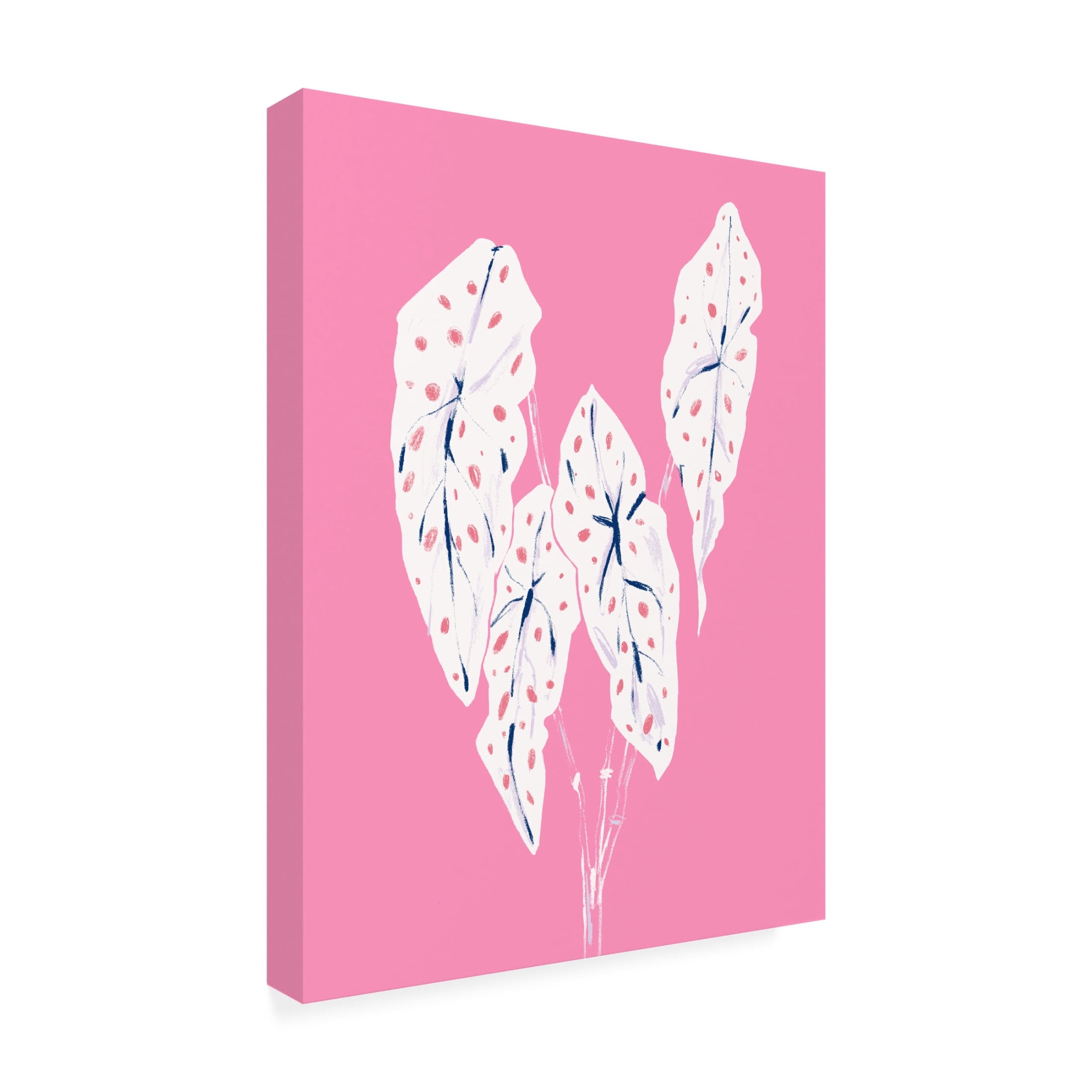 Trademark Fine Art Francesco Gulina Begonia Maculata Pink Canvas Wall Art