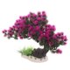 thumbnail image 1 of unbranded Árbol De Acuario Con Artificiales Para Decorar De Peces, 1 of 5
