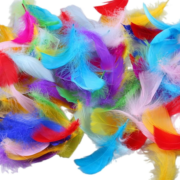 BESTSKY Feathers,Colorful Dyed Goose Feathers Feathers for Crafting,Perfect for DIY Craft Projects Pheasant Feathers,Style1