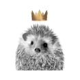 thumbnail image 2 of Straatsma, Leah 20x24 Gold Ornate Wood Framed with Double Matting Museum Art Print Titled - Crown Hedgehog, 2 of 4