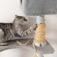 thumbnail image 1 of RENACLIPY 1 Roll of Multi Purpose Cat Sisal Rope for DIY Projects and Furniture Use, 1 of 7
