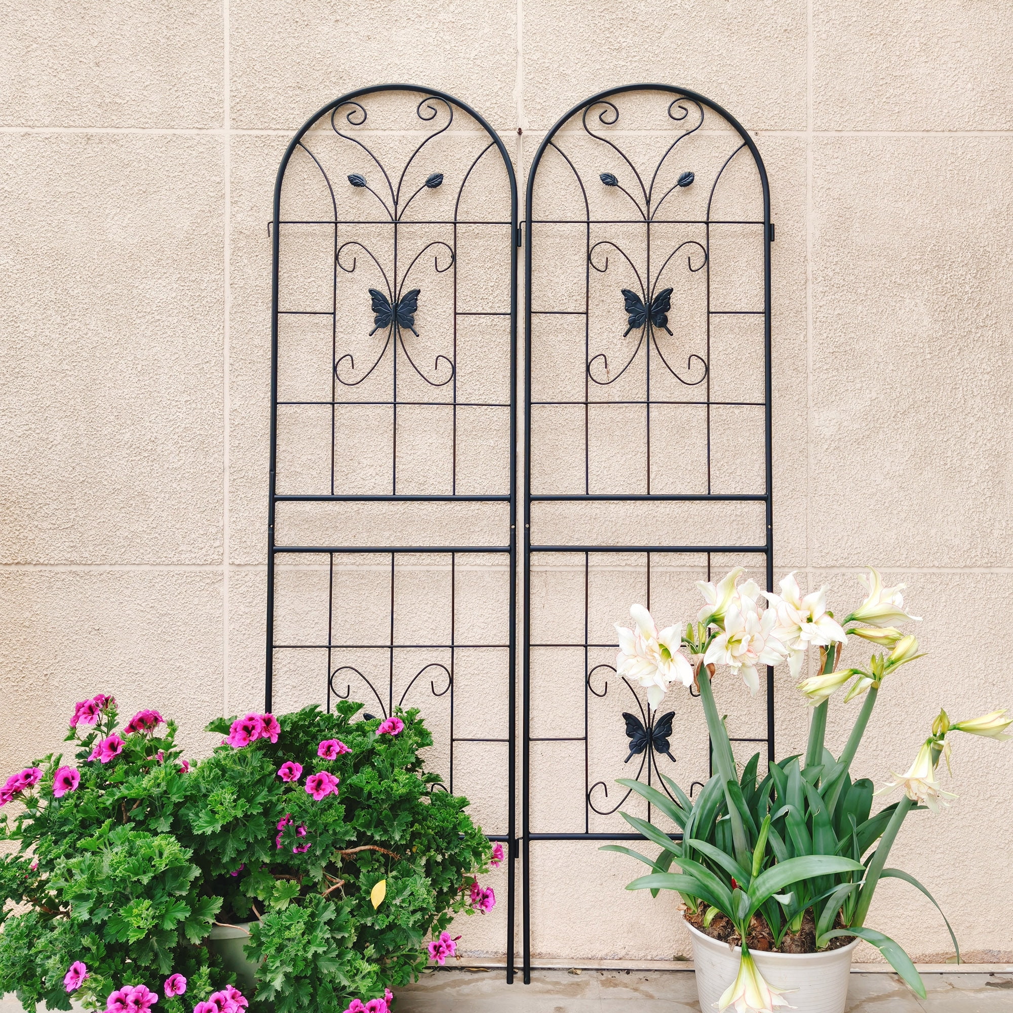 Tcbosik 2 Pack Garden Trellis for Climbing Plants, 71 x 19.7 in Rustproof Metal Flower Trellis, Outdoor Climbing Rose Trellis Cucumbers Support, Black