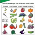 thumbnail image 2 of Perfect Planting Bag, 12 Liter Felt Bags Tomato Planting Bag, (5 Pieces)--, 2 of 4
