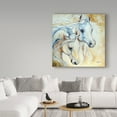thumbnail image 3 of Trademark Fine Art 'Arabian Essence' Canvas Art by Marcia Baldwin, 3 of 3