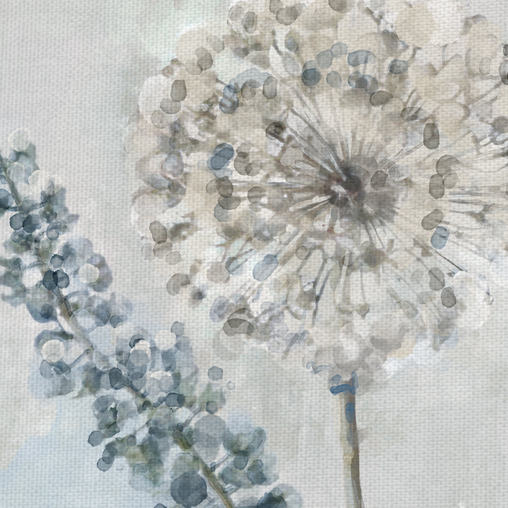 Fine Art Canvas Garden Heights II Dandelions by Studio Arts Canvas Art Print