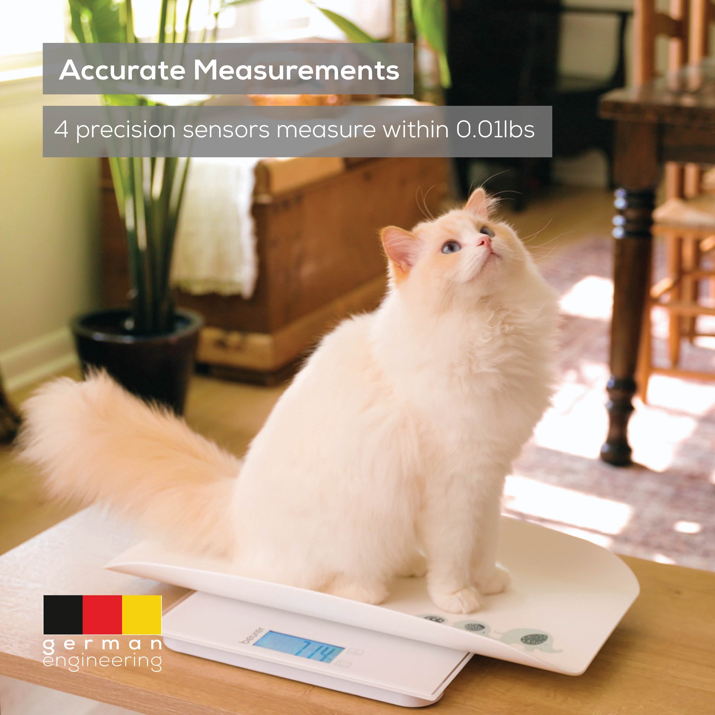 Beurer Multifunctional Baby Scale for Infants, Kids, Adults, and Pets, BY82