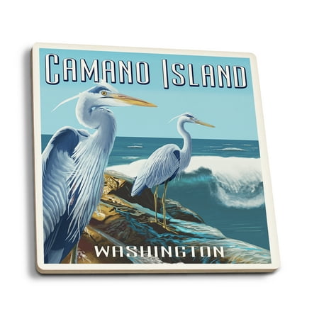 

Camano Island Washington Blue Heron (Absorbent Ceramic Coasters Set of 4 Matching Images Cork Back Kitchen Table Decor)