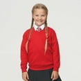 thumbnail image 3 of AWDis Academy Boys/Girls Junior V Neck School Jumper/Sweatshirt, 3 of 4