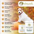 thumbnail image 3 of Wholistic Pet Organics: Multivitamin for Dogs Organic, Homemade Dog Vitamins and Supplements-Dog Multivitamin with Probiotics, Healthy Immune System, Digestive Support (8 Oz, Organic Pumpkin), 3 of 7