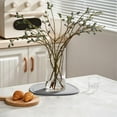 thumbnail image 2 of Multipurpose Diatomaceous Earth Plant Saucer: Water-absorbent and quick-drying!, 2 of 8