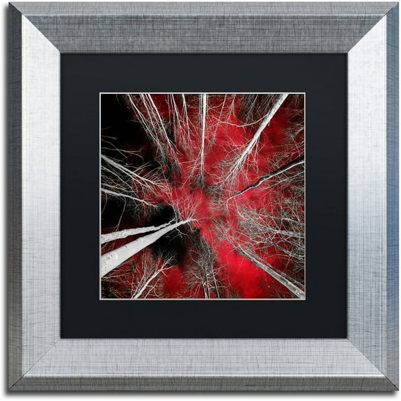 Trademark Fine Art "I Can't Believe It" Canvas Art by Philippe Sainte-Laudy Black Matte, Silver Frame