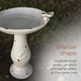 thumbnail image 4 of Alpine Corp. TLR102LBR Antique Ceramic Bird Bath with 2 Birds- Light Brown, 4 of 11