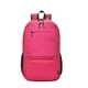 thumbnail image 1 of Minnieouse al aire libre plegable impermeable Camping senderismo pesca portátil bolsa de almacenamiento regalos de bolsillo hombres mujeres Envolturas para manijas de equipaje Rosa roja, 1 of 6